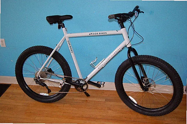 Oversize Mountain bike for Big & Tall Riders / 25" frame / Holds up to 550#